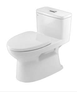 Bồn cầu liền khối Inax AC969VN Vũ gia Luxury